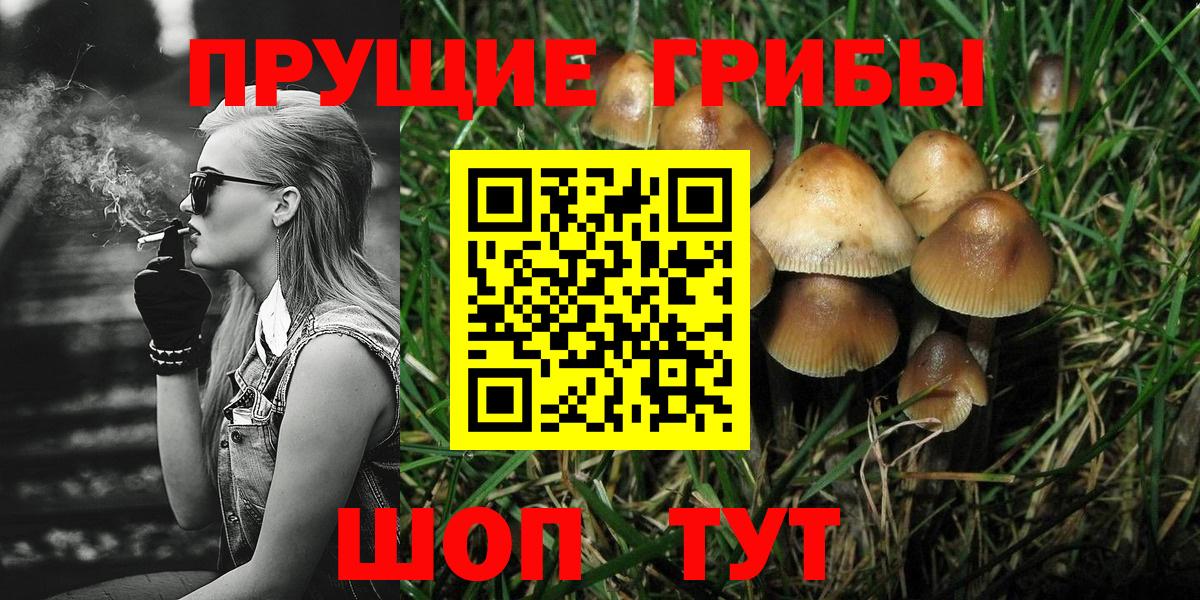 Псилоцибиновые грибы Magic Shrooms Тайшет