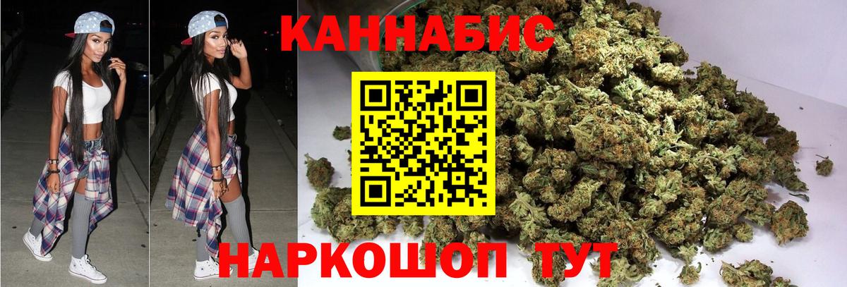 Бошки марихуана сатива  Вход с VPN  Бошки марихуана план  Бошки Шишки конопля  Тайшет 